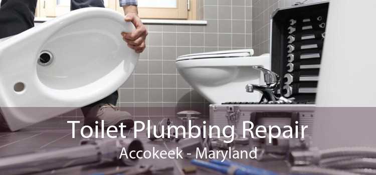 Toilet Plumbing Repair Accokeek - Maryland