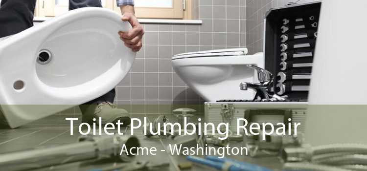 Toilet Plumbing Repair Acme - Washington