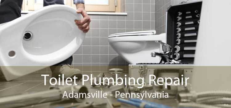 Toilet Plumbing Repair Adamsville - Pennsylvania