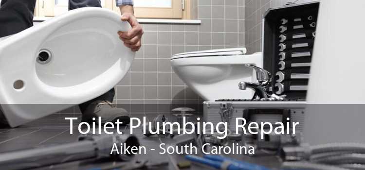 Toilet Plumbing Repair Aiken - South Carolina