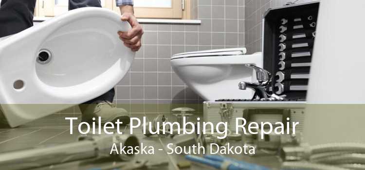 Toilet Plumbing Repair Akaska - South Dakota