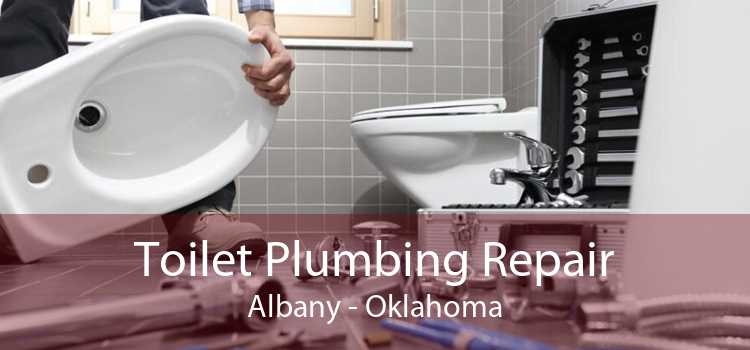 Toilet Plumbing Repair Albany - Oklahoma