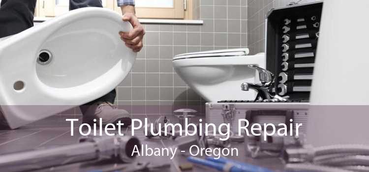Toilet Plumbing Repair Albany - Oregon