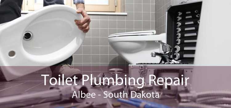 Toilet Plumbing Repair Albee - South Dakota