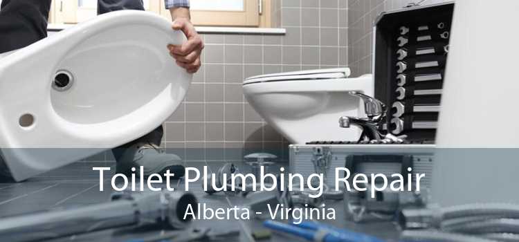 Toilet Plumbing Repair Alberta - Virginia