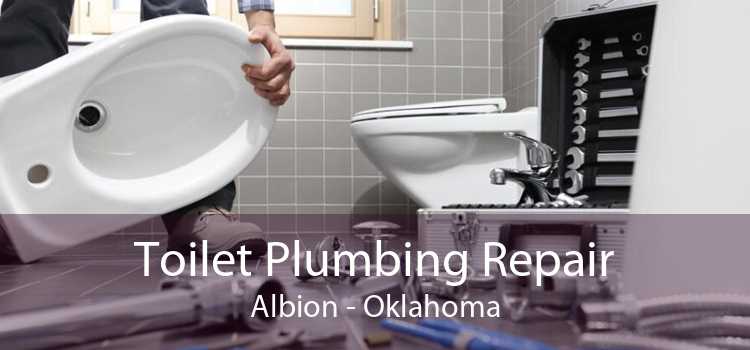Toilet Plumbing Repair Albion - Oklahoma