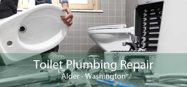 Toilet Plumbing Repair Alder - Washington
