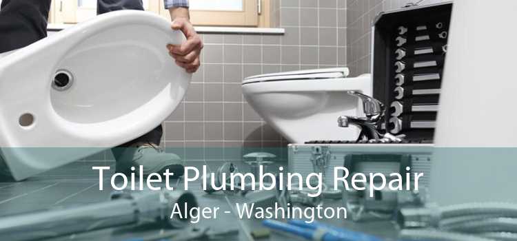 Toilet Plumbing Repair Alger - Washington