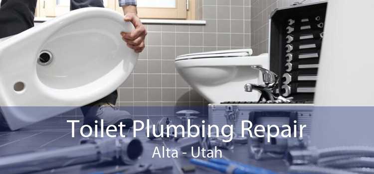 Toilet Plumbing Repair Alta - Utah