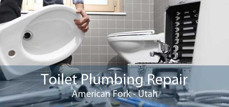 Toilet Plumbing Repair American Fork - Utah