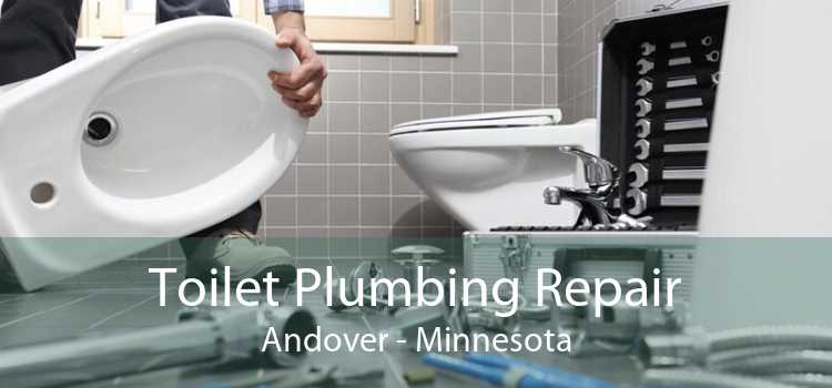 Toilet Plumbing Repair Andover - Minnesota