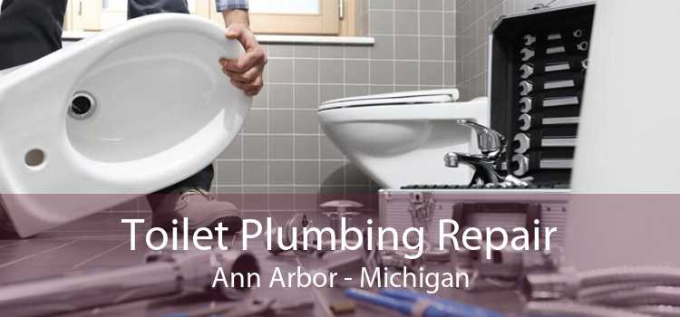 Toilet Plumbing Repair Ann Arbor - Michigan