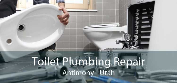 Toilet Plumbing Repair Antimony - Utah