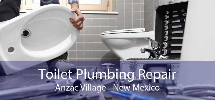 Toilet Plumbing Repair Anzac Village - New Mexico