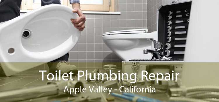 Toilet Plumbing Repair Apple Valley - California