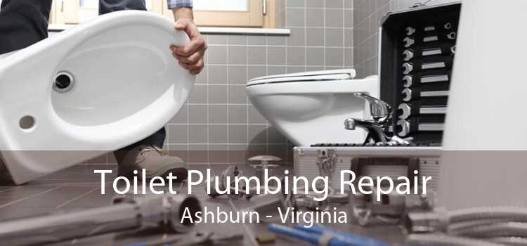 Toilet Plumbing Repair Ashburn - Virginia