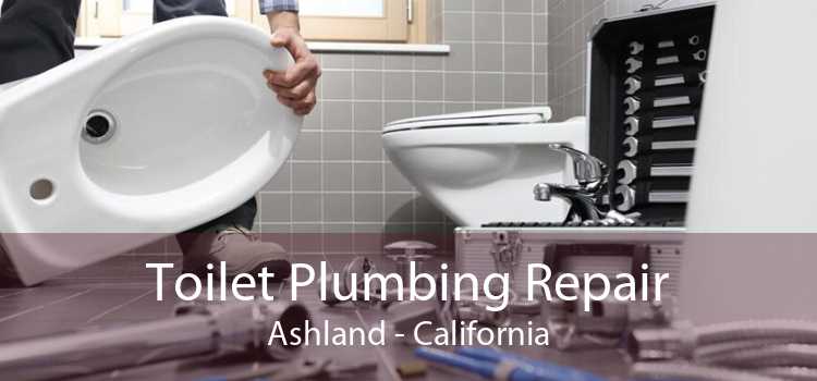 Toilet Plumbing Repair Ashland - California