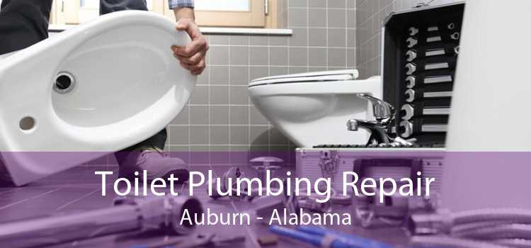 Toilet Plumbing Repair Auburn - Alabama