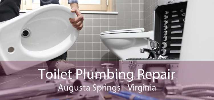 Toilet Plumbing Repair Augusta Springs - Virginia