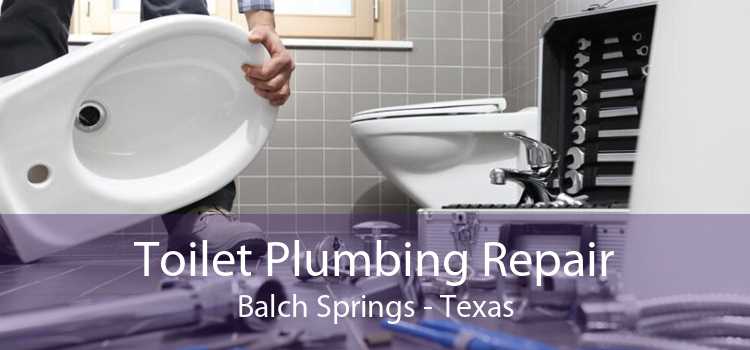 Toilet Plumbing Repair Balch Springs - Texas