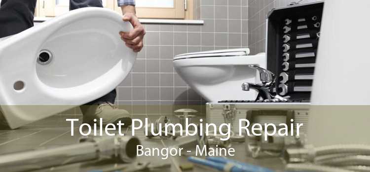 Toilet Plumbing Repair Bangor - Maine
