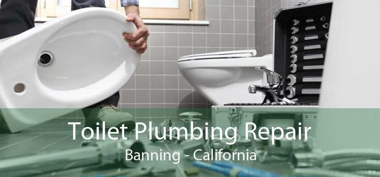 Toilet Plumbing Repair Banning - California