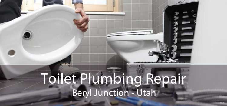 Toilet Plumbing Repair Beryl Junction - Utah