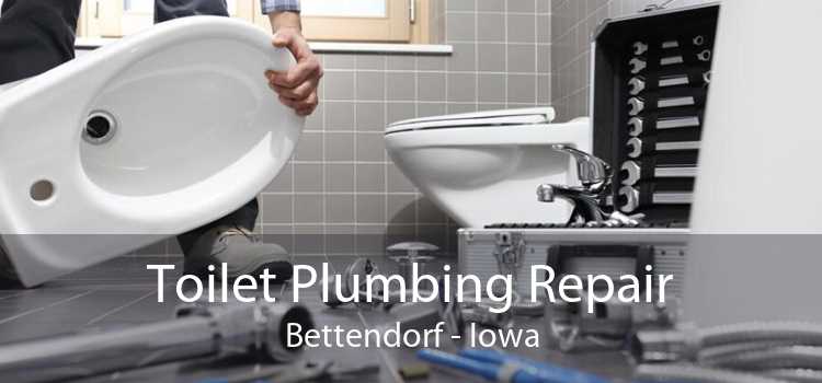 Toilet Plumbing Repair Bettendorf - Iowa