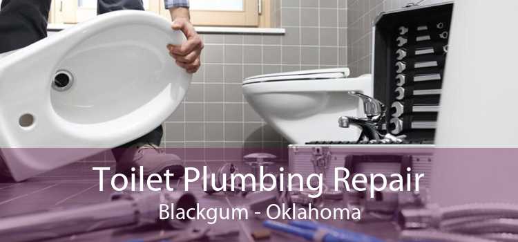 Toilet Plumbing Repair Blackgum - Oklahoma