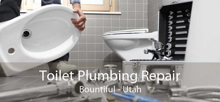Toilet Plumbing Repair Bountiful - Utah