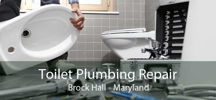 Toilet Plumbing Repair Brock Hall - Maryland