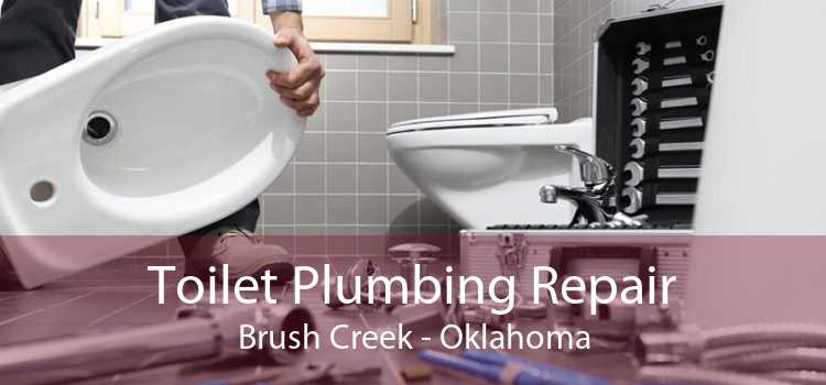 Toilet Plumbing Repair Brush Creek - Oklahoma