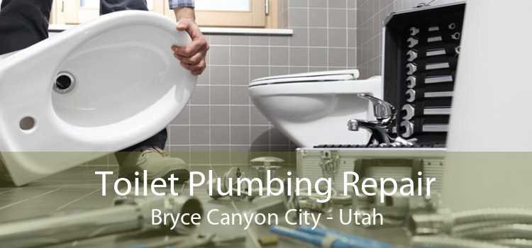 Toilet Plumbing Repair Bryce Canyon City - Utah