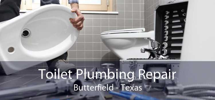 Toilet Plumbing Repair Butterfield - Texas