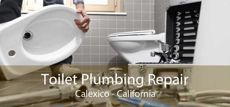 Toilet Plumbing Repair Calexico - California