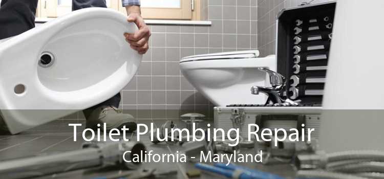 Toilet Plumbing Repair California - Maryland