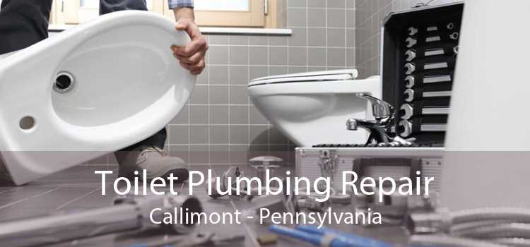 Toilet Plumbing Repair Callimont - Pennsylvania