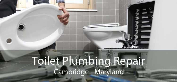 Toilet Plumbing Repair Cambridge - Maryland