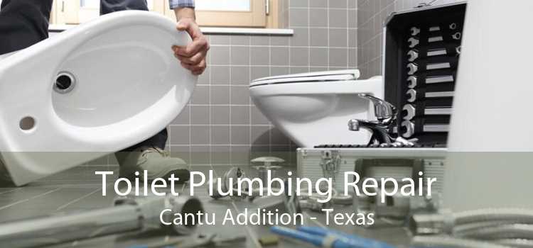 Toilet Plumbing Repair Cantu Addition - Texas