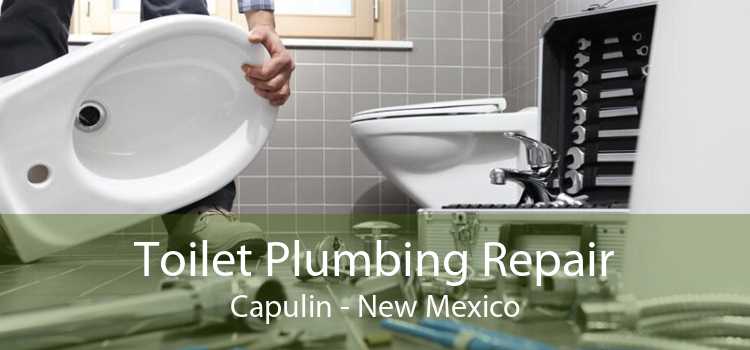 Toilet Plumbing Repair Capulin - New Mexico