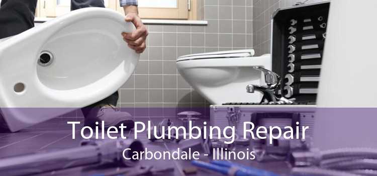 Toilet Plumbing Repair Carbondale - Illinois