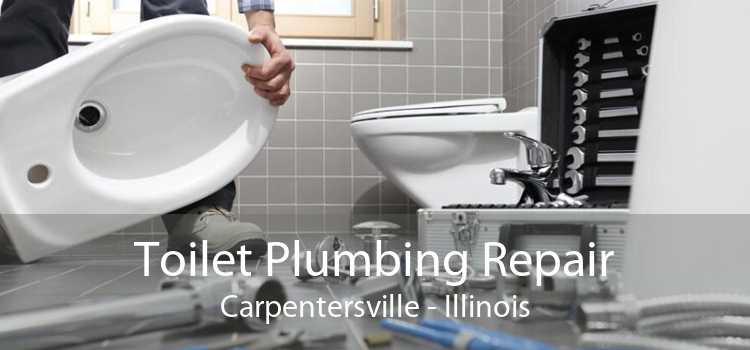 Toilet Plumbing Repair Carpentersville - Illinois