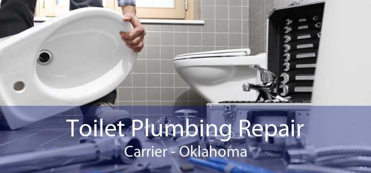 Toilet Plumbing Repair Carrier - Oklahoma
