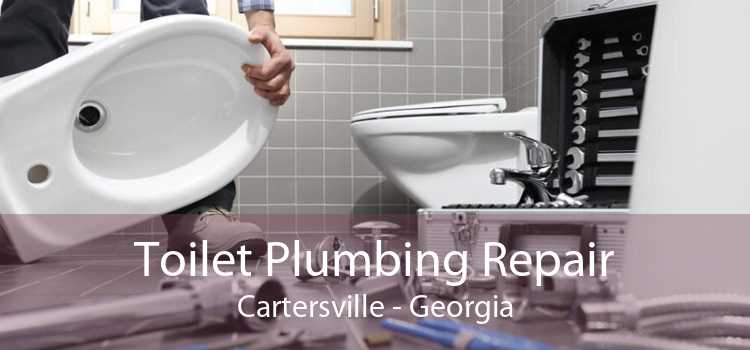 Toilet Plumbing Repair Cartersville - Georgia