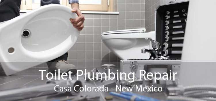 Toilet Plumbing Repair Casa Colorada - New Mexico