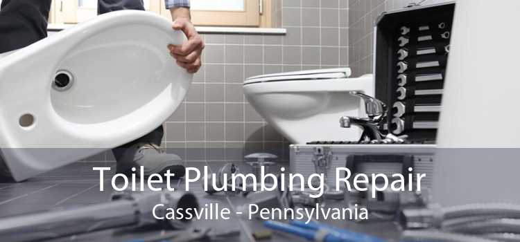 Toilet Plumbing Repair Cassville - Pennsylvania