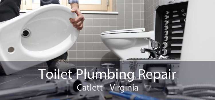 Toilet Plumbing Repair Catlett - Virginia