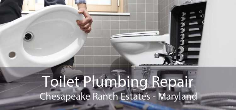 Toilet Plumbing Repair Chesapeake Ranch Estates - Maryland