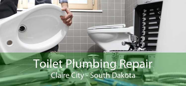 Toilet Plumbing Repair Claire City - South Dakota