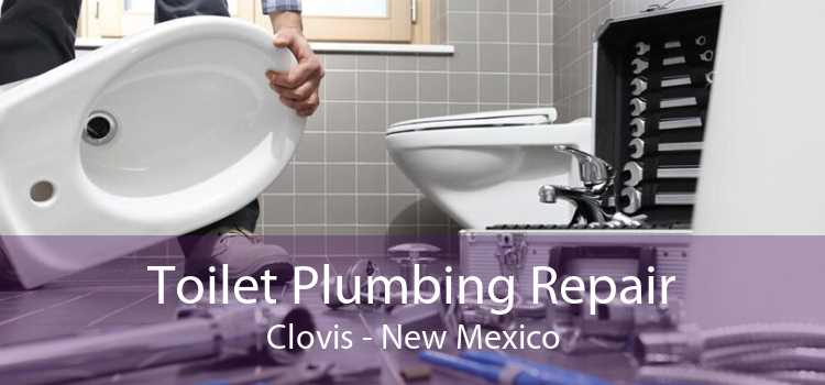 Toilet Plumbing Repair Clovis - New Mexico